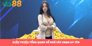 Về Chúng Tôi VB88: Là Nhà Cái Cá Cược Đỉnh Cao?