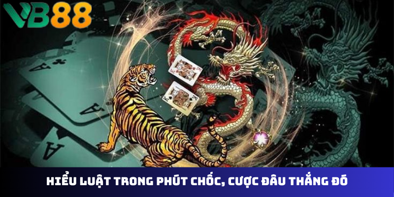 Hiểu luật trong phút chốc, cược đâu thắng đó