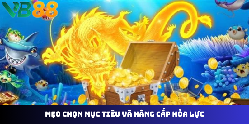 Mẹo chọn mục tiêu và nâng cấp hỏa lực