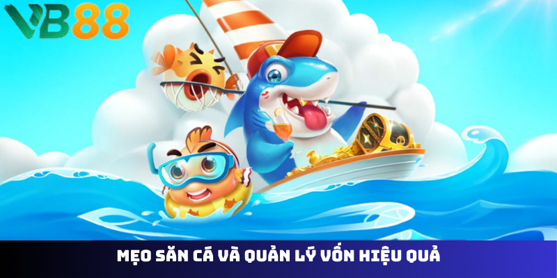 Mẹo săn cá và quản lý vốn hiệu quả