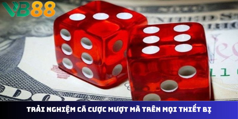 Trải nghiệm cá cược mượt mà trên mọi thiết bị